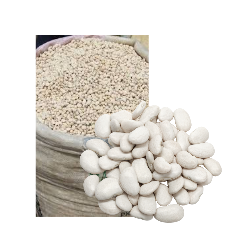 White Beans - 32 paints(full bag)